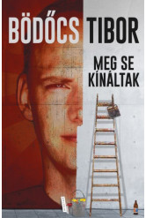 Meg se kínáltak (e-könyv)