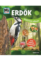 Erdők