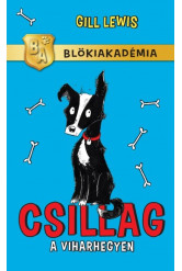 Csillag a viharhegyen