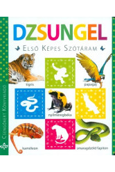 Dzsungel