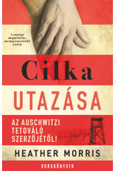 Cilka utazása (e-könyv)