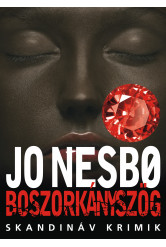 Boszorkányszög (e-könyv)