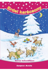 Erdei karácsony /Verses kifestőfüzet §K