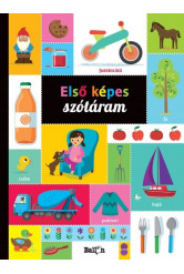 Első képes szótáram
