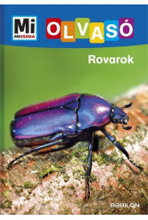 Rovarok
