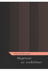 Megérteni az irodalmat