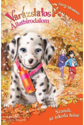 Szandi, az iskola hőse