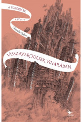 Visszaverődések viharában (e-könyv)