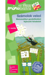 Számolok veled - Matematikai gondolkodást fejlesztő feladatok 3. osztály /MiniLÜK