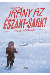 Irány az Északi-sark! - Hogy döntesz?