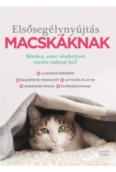 Elsősegélynyújtás macskáknak
