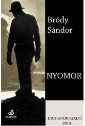 Nyomor (e-könyv)