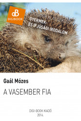 A vasember fia (e-könyv)