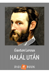 Halál után (e-könyv)