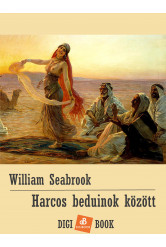 Harcos beduinok között (e-könyv)