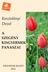 A szegény kisgyermek panaszai (e-könyv)