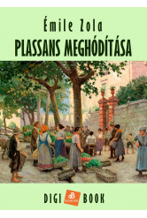 Plassans meghódítása (e-könyv)