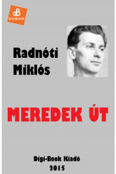 Meredek út (e-könyv)