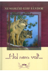 ...hol nem volt...