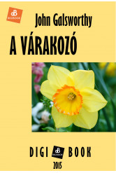 A várakozó (e-könyv)
