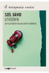 Útközben - Egy életközepi válság Skype-terápiája - A terapeuta esetei (e-könyv)