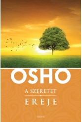 A szeretet ereje (e-könyv)