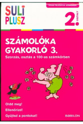 Számolóka gyakorló 3. - Szorzás, osztás a 100-as számkörben /Vidám feladatok számokkal 2. osztály
