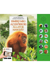 Ismerd meg az esőerdei állatok hangját!
