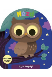 NÉZD! Itt a bagoly!