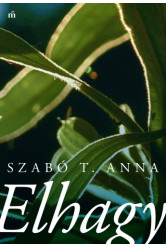 Elhagy (e-könyv)
