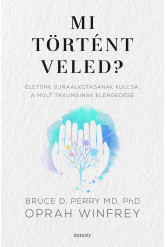Mi történt veled?  (e-könyv)