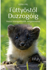 Füttyöstől Duzzogóig - Hazai kisragadozók megmentése (e-könyv)