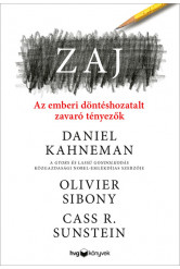 Zaj - Az emberi döntéshozatalt zavaró tényezők