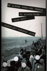 Az oláhok Erdélybe törése és kiveretésük 1916–17.