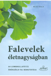 Falevelek életnagyságban /64 lombhullató és örökzöld faj bemutatása