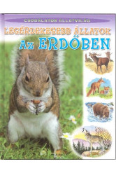 Legérdekesebb állatok az erdőben /Csodálatos állatvilág