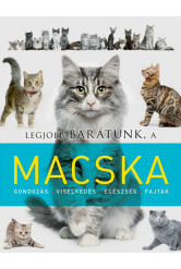 Legjobb barátunk a macska - Legjobb barátunk...