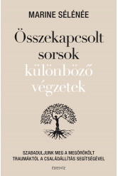 Összekapcsolt sorsok különböző végzete (e-könyv)