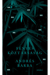 Fényes köztársaság (e-könyv)