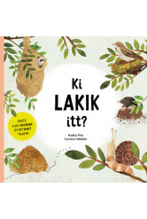 Ki lakik itt? - Segíts a kis csigának új otthont találni!