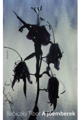 A jóemberek (e-könyv)