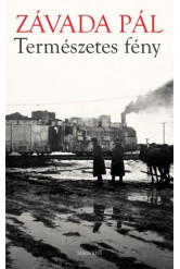 Természetes fény (e-könyv)