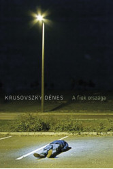 A fiúk országa (e-könyv)