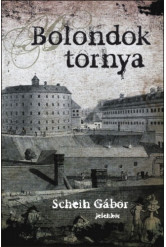 Bolondok tornya (e-könyv)