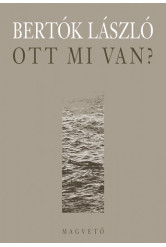 Ott mi van? (e-könyv)
