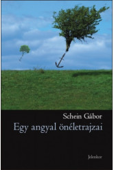 Egy angyal önéletrajzai (e-könyv)