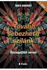 Tovább sebezhető szilánk (e-könyv)