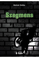 Szegmens (e-könyv)