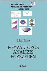 Egyváltozós analízis egyszerűen (e-könyv)