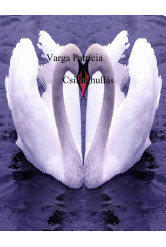 Csillaghullás (e-könyv)